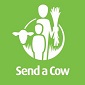 Send a Cow Ethiopia
