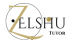 Zelshu Online Tutorial