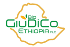 Giudico Bio Ethiopia PLC